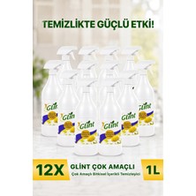 Glint Bitkisel İçerikli Çok Amaçlı Yüzey Temizleyici 12x1 Litre Ekonomik Paket