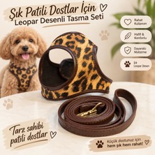Leopar Köpek Göğüs Tasma Seti Xs  Beden 1-3 kg