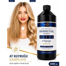 Begisun At Kuyruğu Şampuanı 1000 ml | Biotin & Kafein Destekli | Güçlü ve Parlak Saçlar