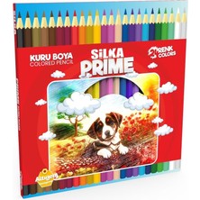 Silka Prime Tam Boy 24 Renk Kuru Boya Kalemi
