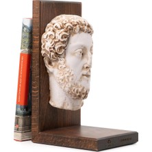 Anadolia Commodus Kitap Desteği