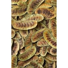 Tadacaksin Deve Gözü 100 gr