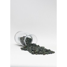 Tadacaksin Taze Menengiç (Çitlenbik) 250 gr