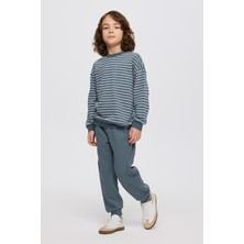 Panço Erkek Çocuk Çizgi Desenli Petrol Sweatshirt