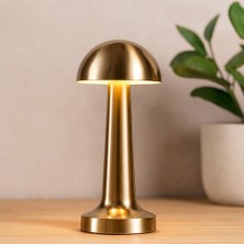 Aesco Oval Metal Mantar Masa Lambası - Dokunmatik Type-C 3 Mod