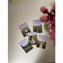 Tiny Stories TR Motivasyon Motto Kart Seti Papatya Temalı 5 Adet / Kartpostal