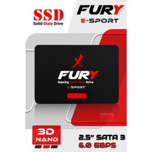 Fury Esports 256GB 2.5 Sata 3 6.0 Gbps
