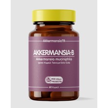AkkermansiaTR Akkermansiam-B