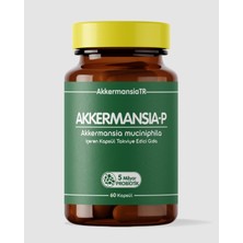 AkkermansiaTR Akkermansiam-P