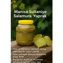 Salamura Yaprak Manisa Sultaniye Üzüm Yaprağı 5 kg Bidon Ince Damarsız