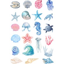 33X48 cm Deniz Canlıları ve Denizkabuğu Sticker Tabakası
