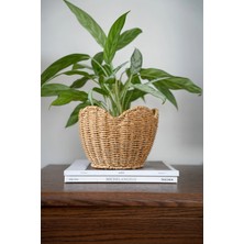 Dekorz Dükkan Rattan Çiçeklik & Meyvelik Sepet