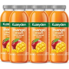 Kuzeyden %100 Meyve Mango Suyu | 6X250ML | Ilave Şeker, Katkı ve Koruyucu Madde Içermez | 6 Adet |