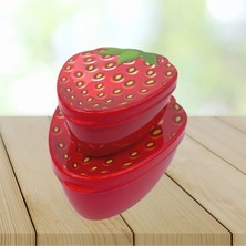 Aesco 2'li Iç Içe Geçebilen Çilek Model Saklama ve Beslenme Kabı Seti (550 ml + 250 Ml)