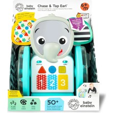 Baby Einstein Chase&tap Earl Emekleme Oyuncağı (4 Adet)