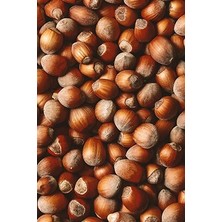 Tadacaksin Kabuklu Fındık Duble Çiğ 1 kg