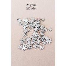Royaleks Group Oya Abiye Bileklik Kolye Pleksi Metalik Plastik Pul Gümüş Renk 24 Gram 210 Adet - BNC562