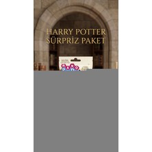Ototechparca Harry Potter Koleksiyon Sürpriz Figür Oyuncak Seti