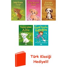 Pegasus Holly Webb 5 Kitap Seti + Türk Klasiği Hediye