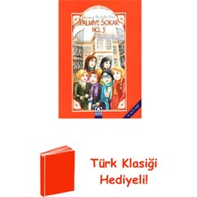 Altın Kitaplar Palmiye Sokak No:5 + Türk Klasiği Hediye