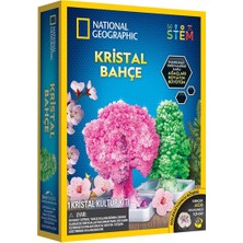 Ototechparca Natgeo Kristal Bitki Kiti