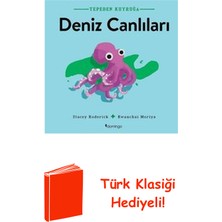Domingo Yayınevi Tepeden Kuyruğa - Deniz Canlıları + Türk Klasiği Hediye