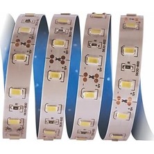 Ototechparca 1 Adet 5 Metre Cata Ct 4537 Iç Mekan 12V 12 Çip Şerit LED  3200K Günışığı