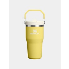 Stanley Iceflow™ Flip Straw Tumbler Pipetli Termos | 0.60L