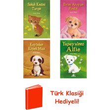 Pegasus Holly Webb 4 Kitap Seti + Türk Klasiği Hediye