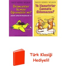 İletişim Yayınları David Henry Wilson 2 Kitap Seti + Türk Klasiği Hediye