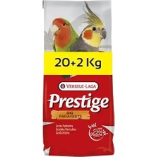Versele-Laga Versele Laga Big Parakeets Papağan Yemi