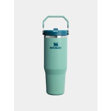 Stanley Iceflow™ Flip Straw Tumbler Pipetli Termos | 0.89L