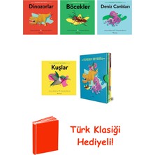 Domingo Yayınevi Stacey Roderick 5 Kitap Seti + Türk Klasiği Hediye