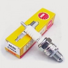C7HSA Ngk Buji
