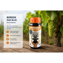 Belsav Bordo Max Blue 250 cc (Ph Regülatörü)