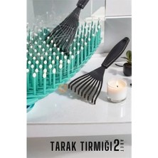 Aesco Tarak Temizleyici Mini Tırmık 2 Adet