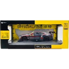 Aesco 1/24 Gt3 Silver Grey Model Araba