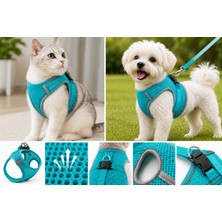 Karamel Pet Nefes Alan Kumaş Air Mesh Kedi Köpek Göğüs Tasması Medium 44X48 cm Turkuaz