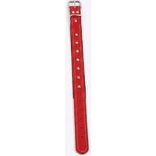 Aesco Deri Tasma Kırmızı 65 cm