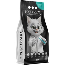 Aesco Marsilya Sabunu Kokulu Bentonit Kedi Kumu 5 Lt