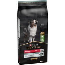 Aesco Orta Irk Yetişkin Köpek Kuzulu Mama 14 kg