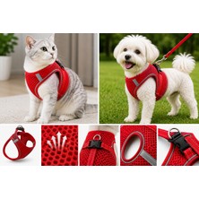 Karamel Pet Nefes Alan Kumaş Air Mesh Kedi Köpek Göğüs Tasması Xx Small 28X32 cm Kırmızı