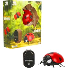 Sunman Crazoo 9922 Uğurböceği Kumandalı Işıklı Pilli 3+