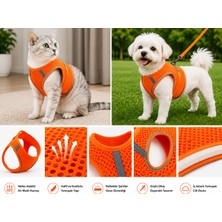 Karamel Pet Nefes Alan Kumaş Air Mesh Kedi Köpek Göğüs Tasması Xx Small 28X32 cm Turuncu