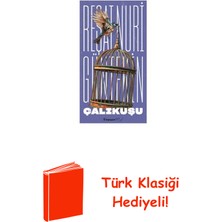 İnkılap Kitabevi Çalıkuşu + Türk Klasiği Hediye