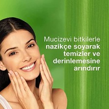 Himalaya Since 1930 Aydınlatıcı Yüz Temizleyici Scrub, Peeling Etkili, Meyan Kökü, Kayısı, Parabensiz, Tüm Ciltler 75 ml
