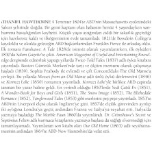 Kırmızı Leke