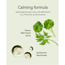 Aqua Cica Cream Nemlendirici Yatıştırıcı Krem Seti Cica Centella Panthenol Vegan 2X150 ml