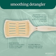 Ecotools Düzeltici Detangler Saç Fırçası, Islak Veya Kuru Saçlar Için Fırça, Ağrısız Dolaşık Açma, Stil ve Pürüzsüz Saçlar, Yenilenebilir Bambu ve Esnek Kıllar, Vegan ve Zulüm Içermez, 1 Adet