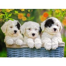200 Parça Yapboz Puppies